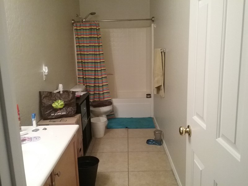 Upstairs Bath (2)